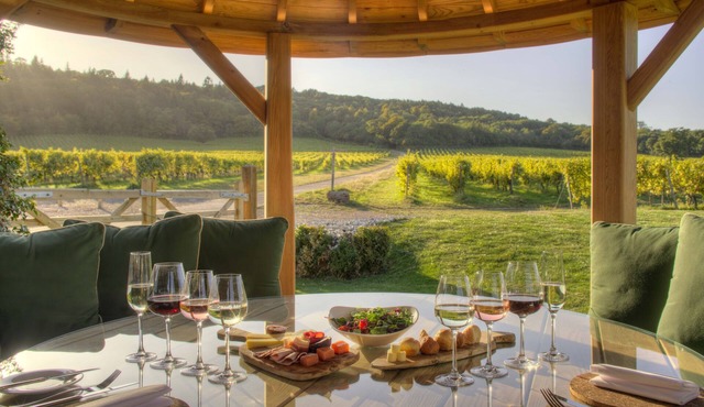 Denbies Vineyard Hotel