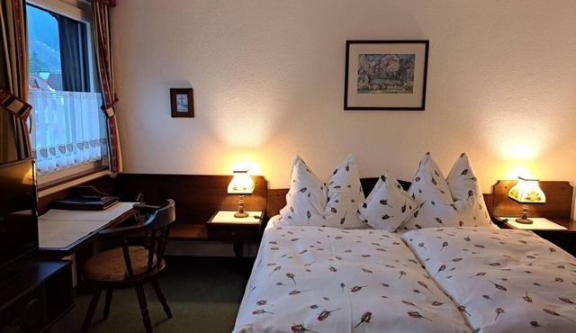 Double room "Steyrblick" with shower, WC - Hotel garni Landhaus Bürtlmair *