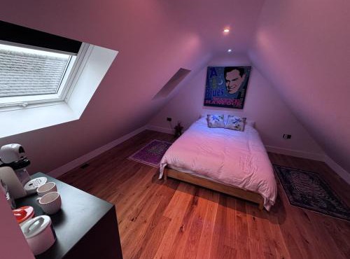 Downsview Loft