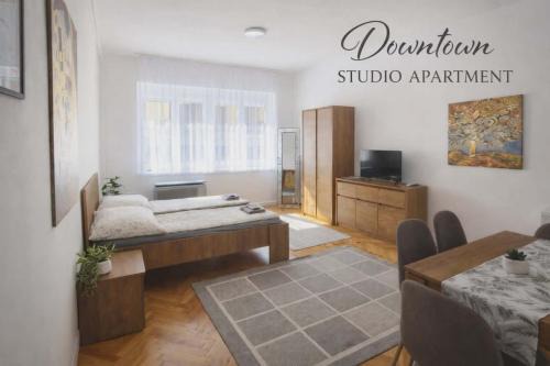 Downtown Studio Apartman
