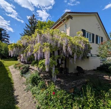 Gartenoase