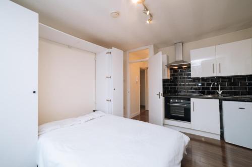 Great Studio Flat in Central London Zone 1