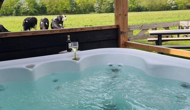 Have a unique experience in the Boerderijkamer with private outdoor hot tub , breathtaking views and comfortable amenities. Enjoy a carefree stay with fresh rolls and delicious coffee every day and explore the surrounding area, the beach, Callantsoog