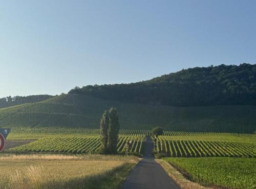 Horizont 360
