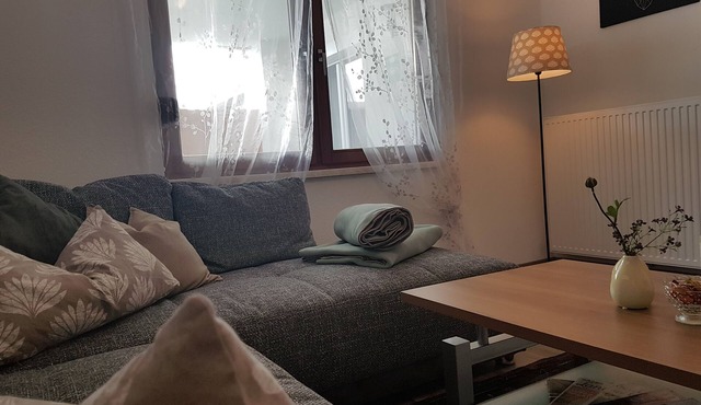 Large 105m² apartment with terrace for 4 to 6 persons & beautiful south view!