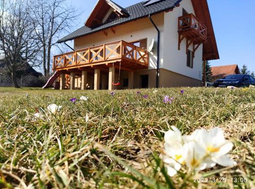 Leśny Domek