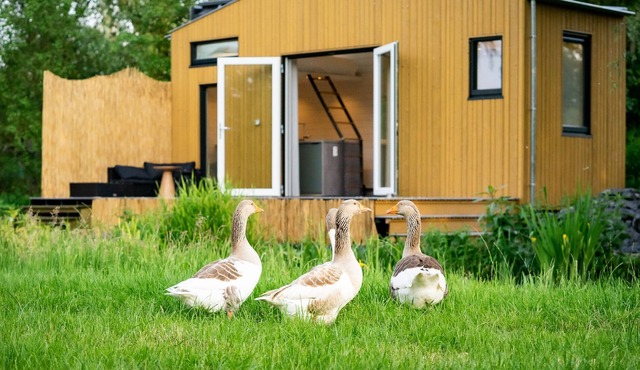 Luxurious Tiny House with terrace and great view (30min from Adam!)