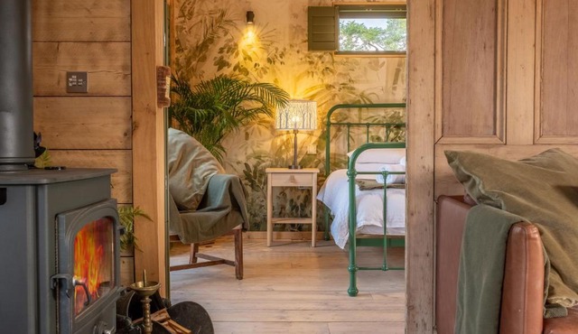 Olive Tree House