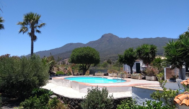 pretty apartment with sun terrace in the subtropical garden with WiFi and pool