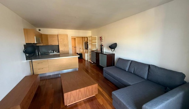 Quartier Latin Cozy Studio Apartment with Netflix