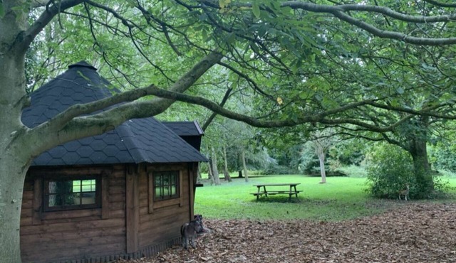 Romantic Pixie Hut with Private Woodland