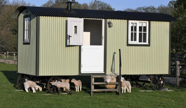 SHEPHERDS HUT