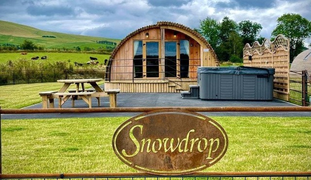 Snowdrop