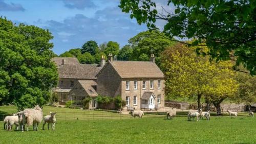 Spring House