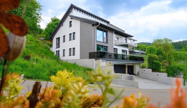 Talblick Apartment with Terrace, Garden Access & Parking in Kappelrodeck