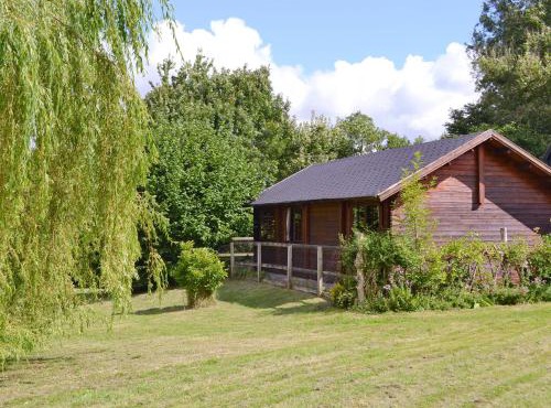 The Cabin