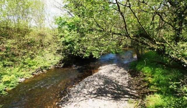 Vacation home Bwthyn yr Onwydden in Llandovery - 6 persons, 2 bedrooms