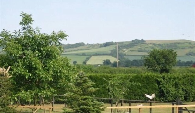 Wayside B&B