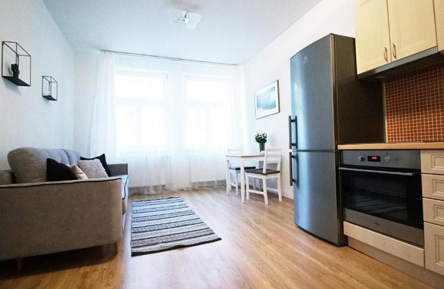 Boris' Apartments Karlin