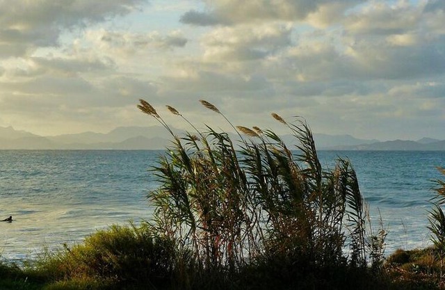 Cala Serena Beach 6