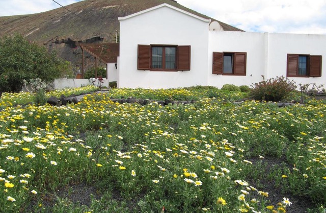 Tahiche Internet Garden 