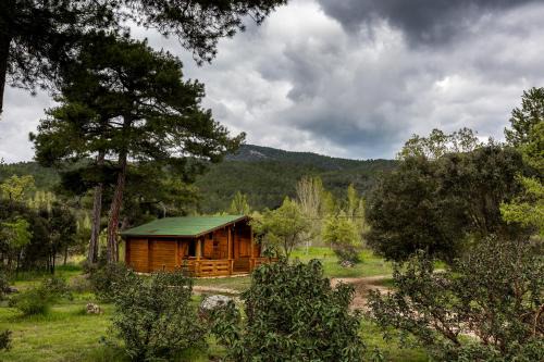 El Llano De Los Conejos 