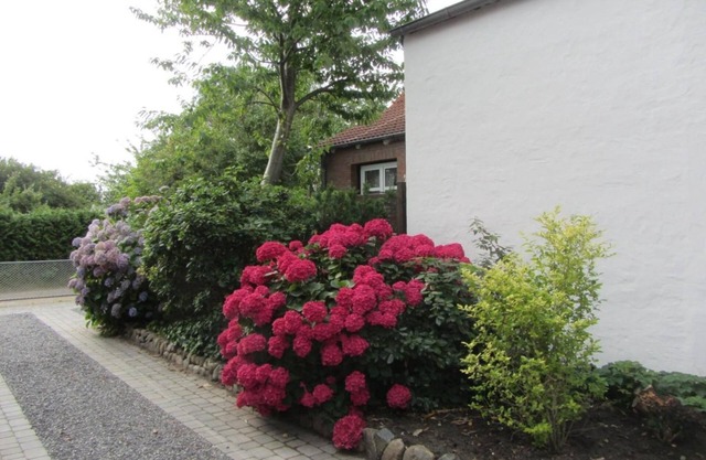 Ferienwohnung Schifferstraße 10a - Kurze Wege zum Strand und in die Stadt