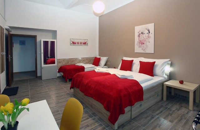 Smeralova apartments 102B