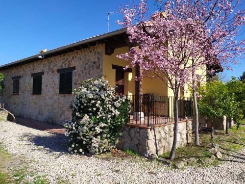 Cuacos de Yuste Apartment | 130 m² Apartment ∙ 4 bedrooms ∙ 10 guests