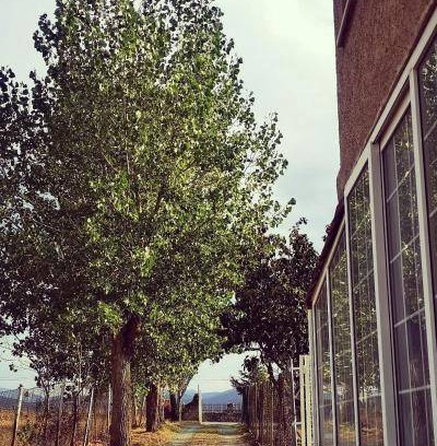 San Cristobal de Segovia House | 150 m² House ∙ 5 bedrooms ∙ 10 guests