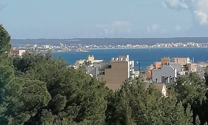 Son Dureta Resort | 350 m² Private room ∙ 1 bedroom ∙ 1 guest