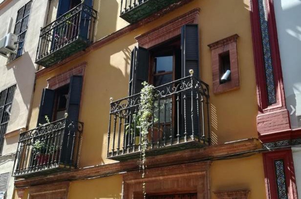 Alameda House | La Casa de Blas
