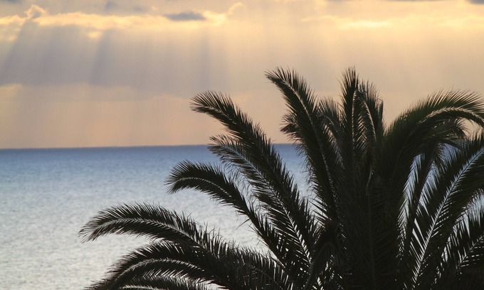 Porto Cristo Novo House | Quiet and peaceful island with lush garden and beaches