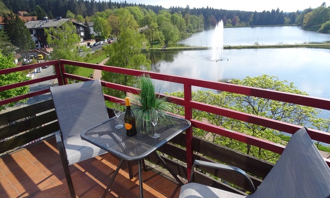 Hahnenklee Apartment | Vacation apartment/apartment for 2 guests with 32m² in Hahnenklee (95760)