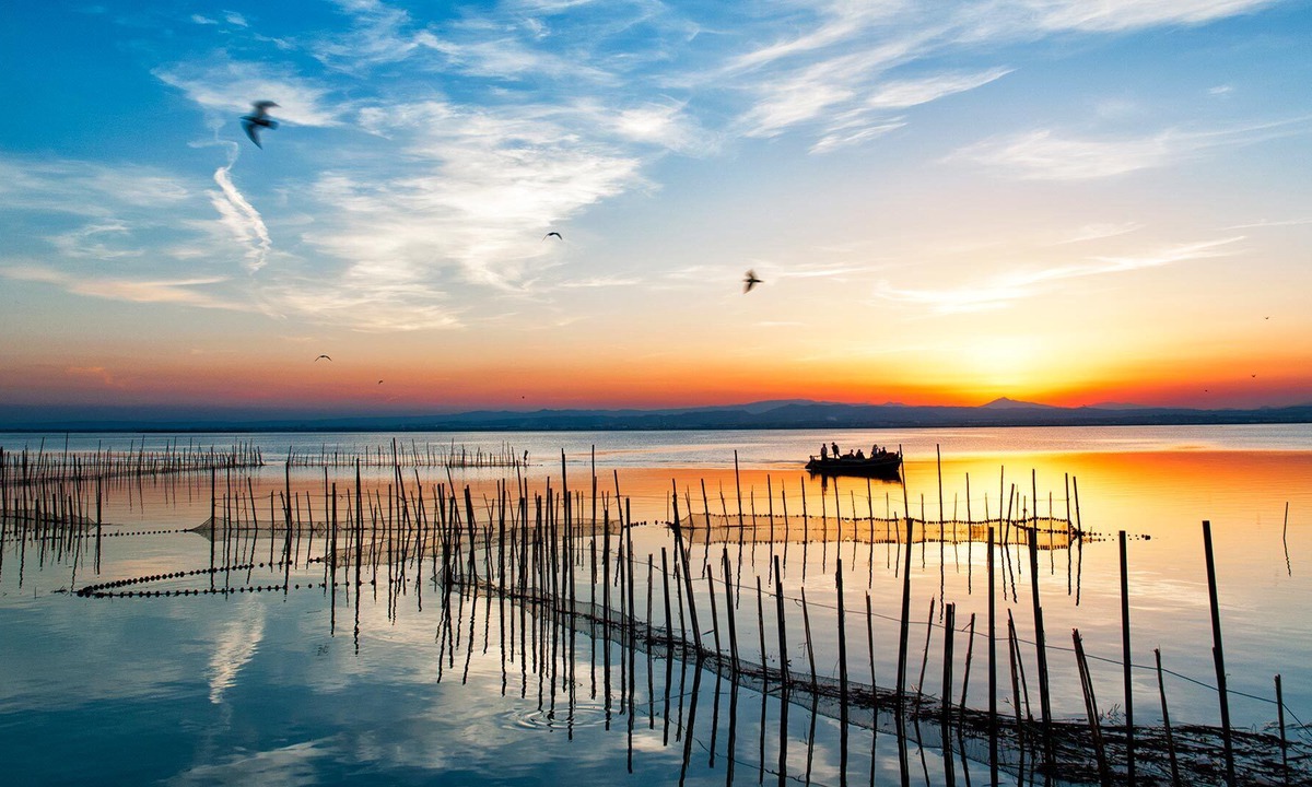 Pobles del Sud Apartment | Suite Superior con Vistas Albufera Dreams Nature Suites
