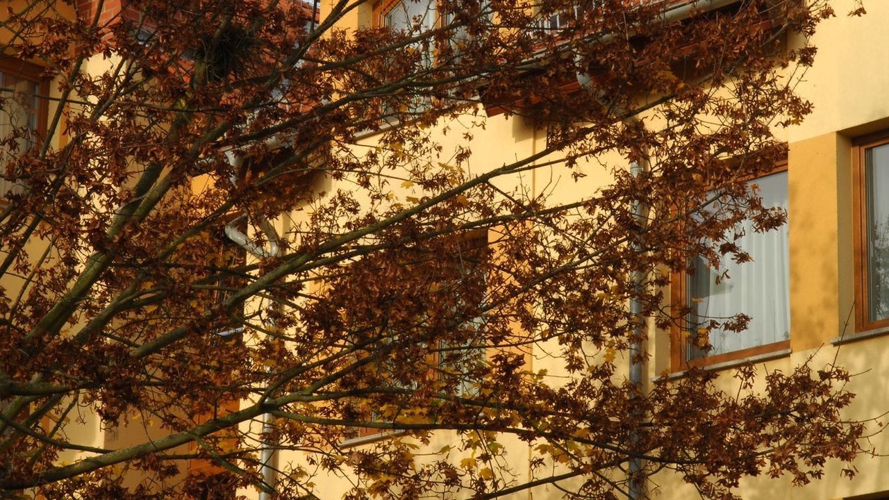 Photo of Buildings in Beyendorf-Sohlen