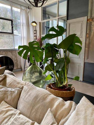 Photo of Livingroom in Saint-Claude