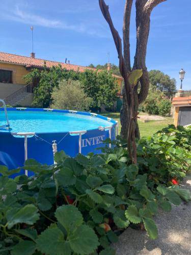 Photo of Outdoor in Candeleda