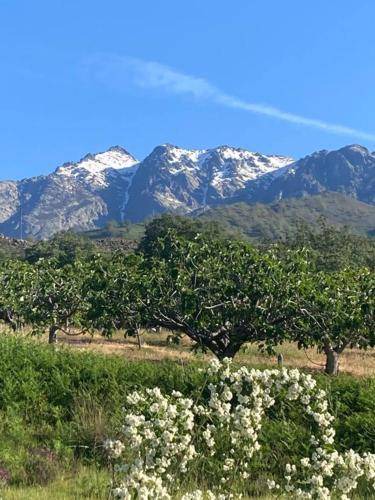 Photo of Outdoor in Candeleda