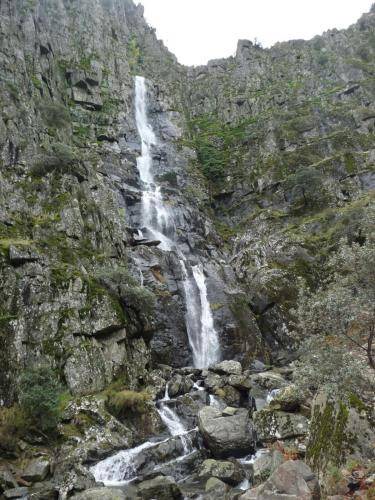 Photo of Others in Pinofranqueado