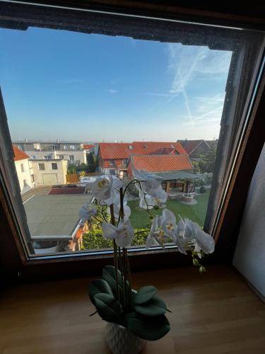 Photo of Others in Lichtenberg