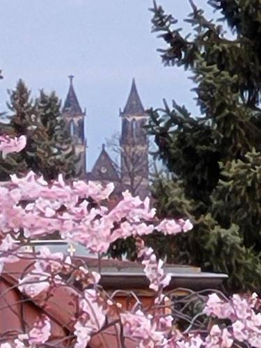 Photo of Others in Magdeburg