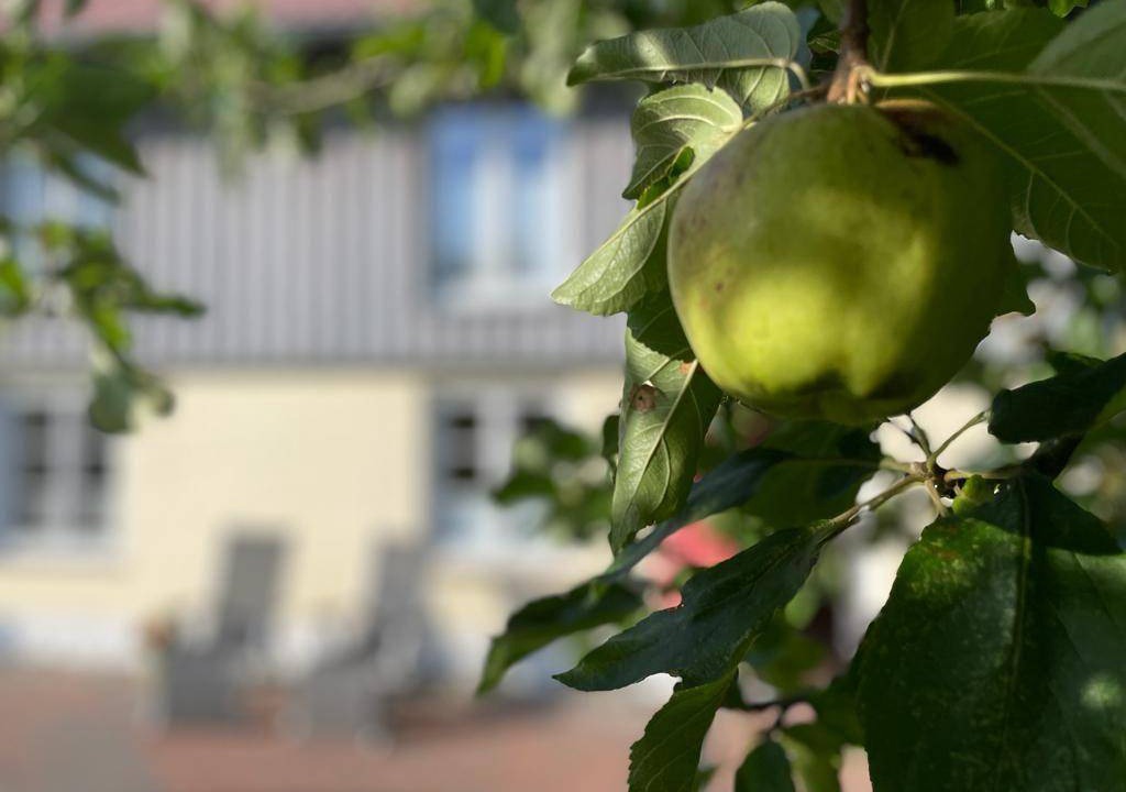 Photo of Others in Borgwedel
