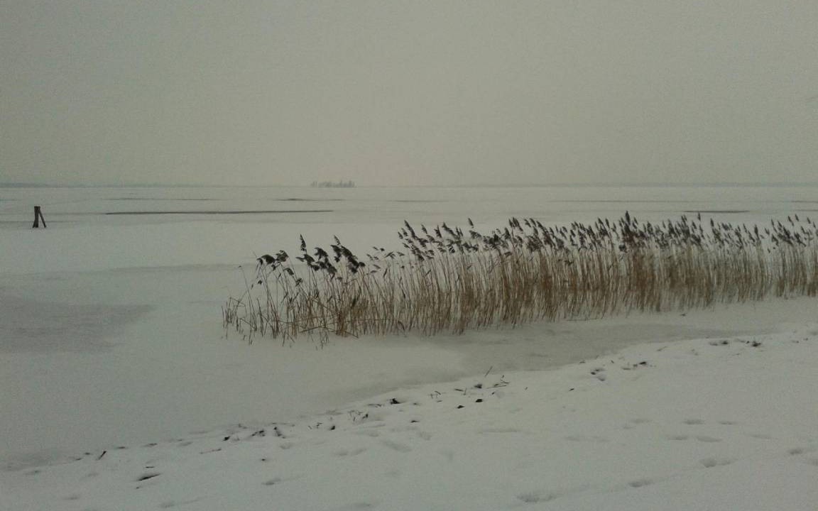 Photo of Others in Region Hannover District