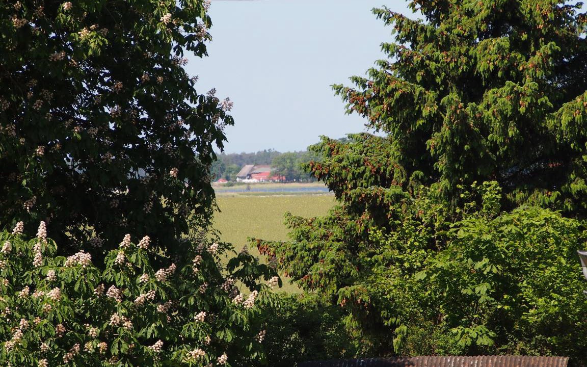 Photo of Others in Gingst