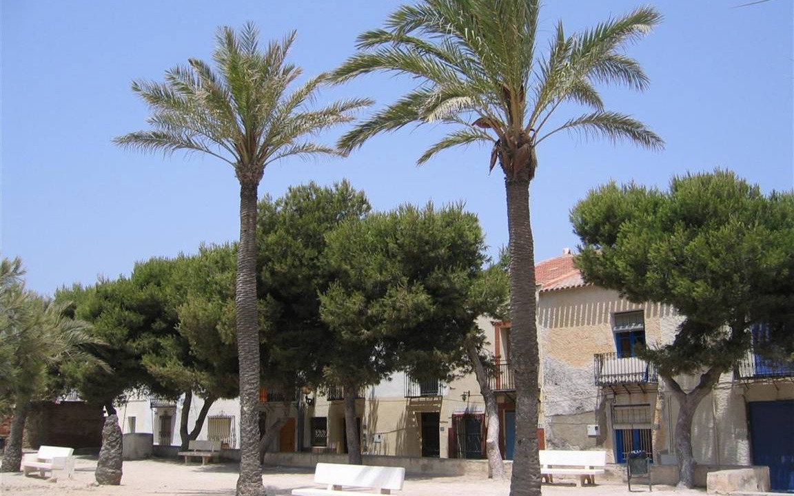 Photo of Others in Guardamar del Segura