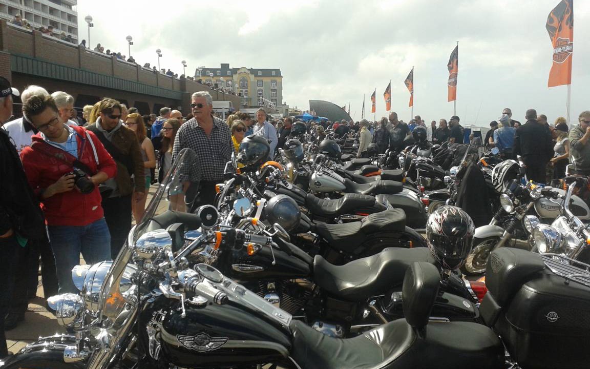 Photo of Others in Westerland