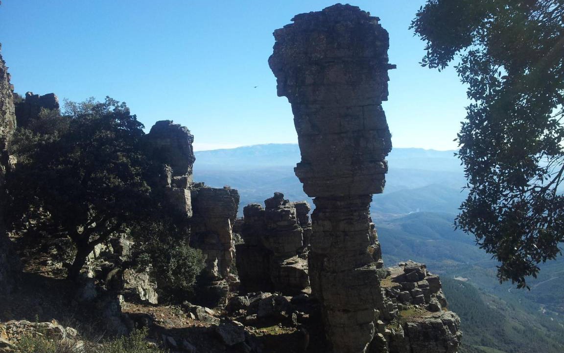 Photo of Others in Sotoserrano