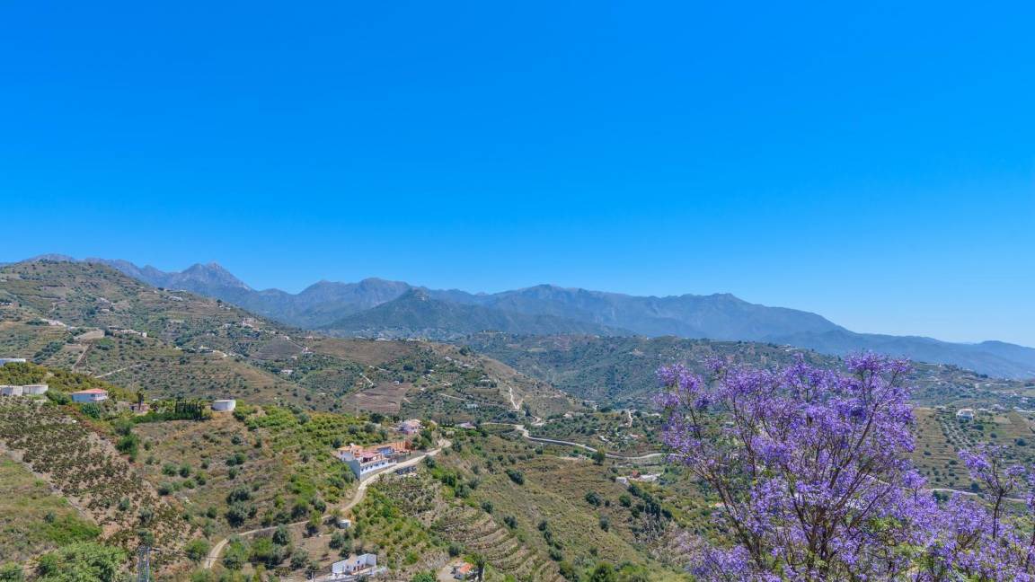 Photo of Others in Torrox