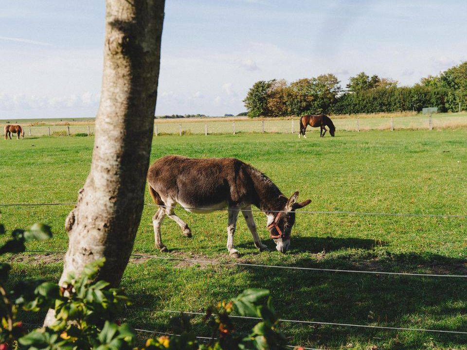 Photo of Others in Reussenkoge